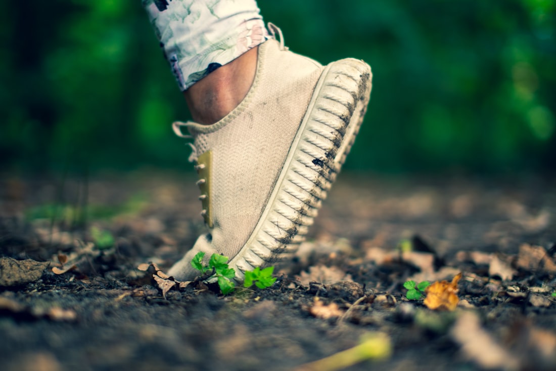 Close-up of feet in sneakers stepping forward on a walking path